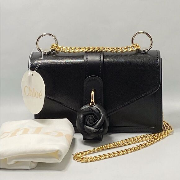 Chloe Aby Chain leather shoulder bag - Picture 1 of 12